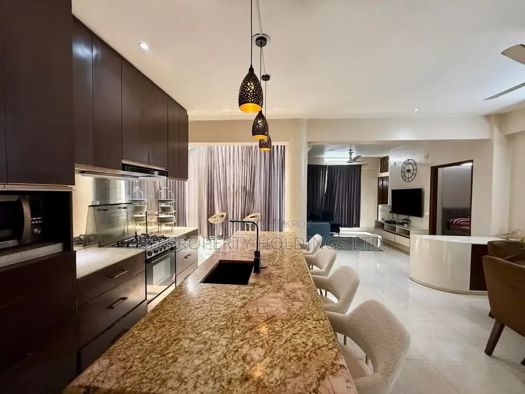 Furnished 4bdrm Duplex in Basundhara for Rent in Basundhara