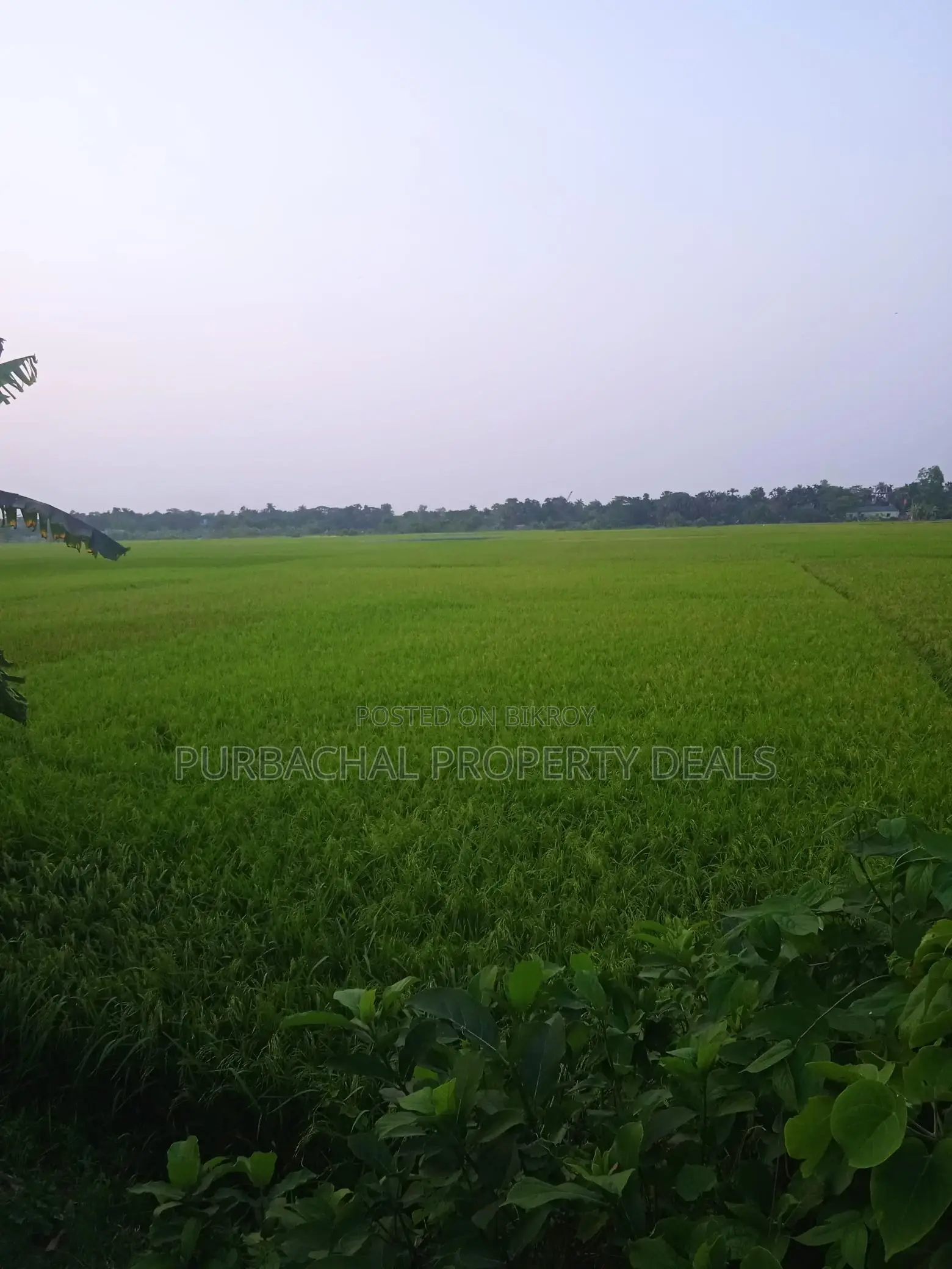 Premium Investment in Rupganj: 70 Decimals of Land Ready for You in Narayanganj