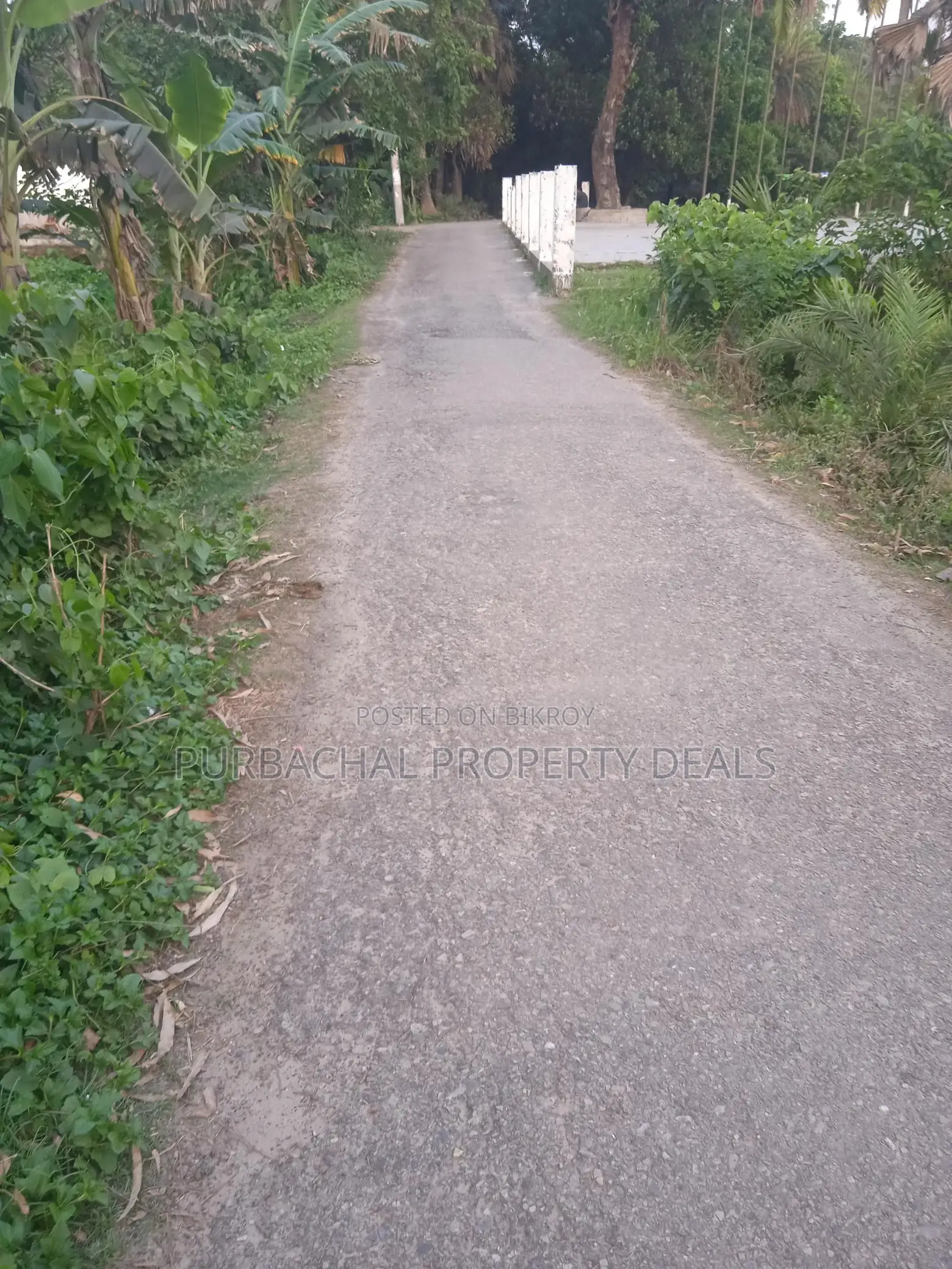 Premium Investment in Rupganj: 70 Decimals of Land Ready for You in Narayanganj