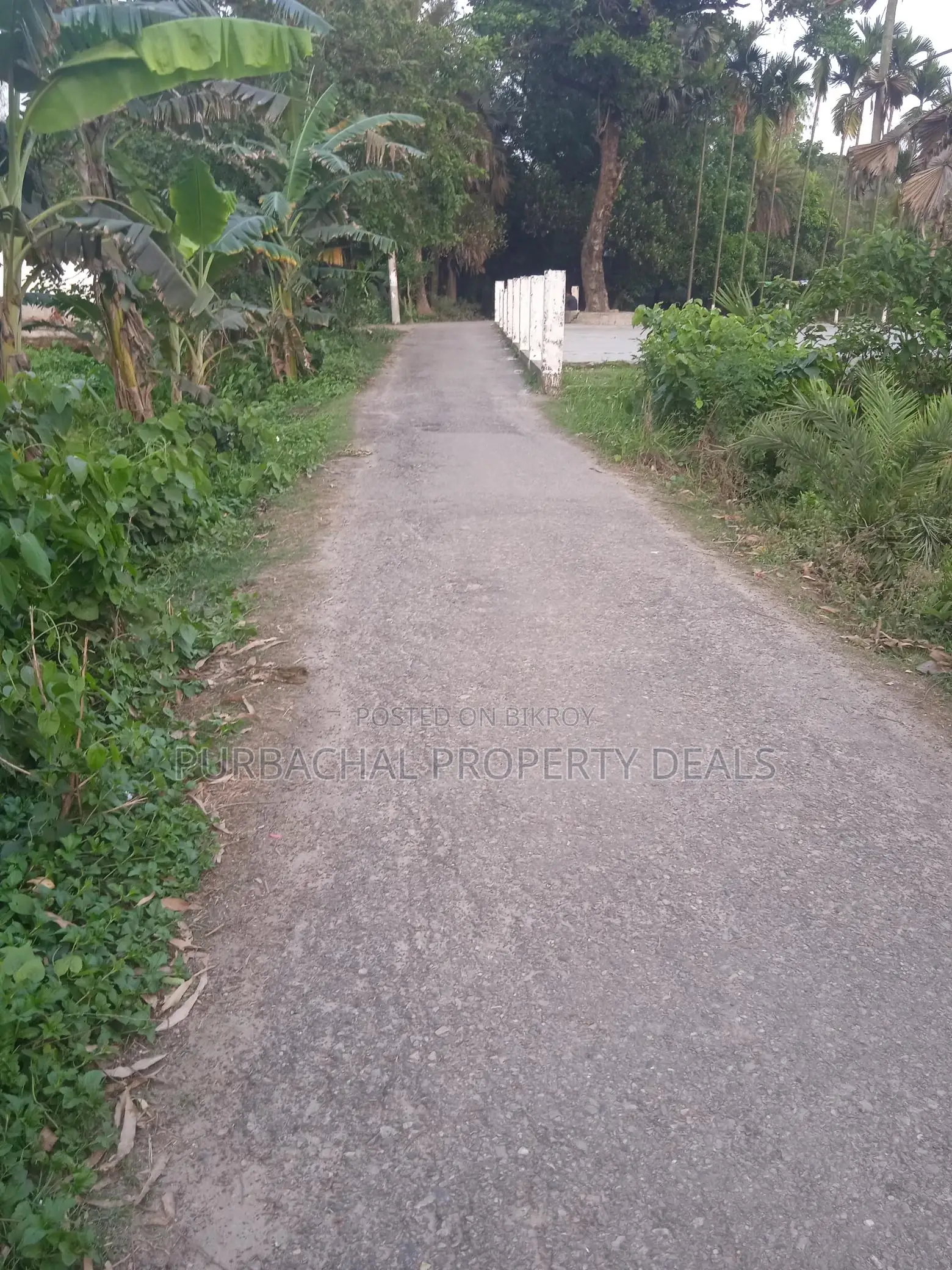 Premium Investment in Rupganj: 70 Decimals of Land Ready for You in Narayanganj
