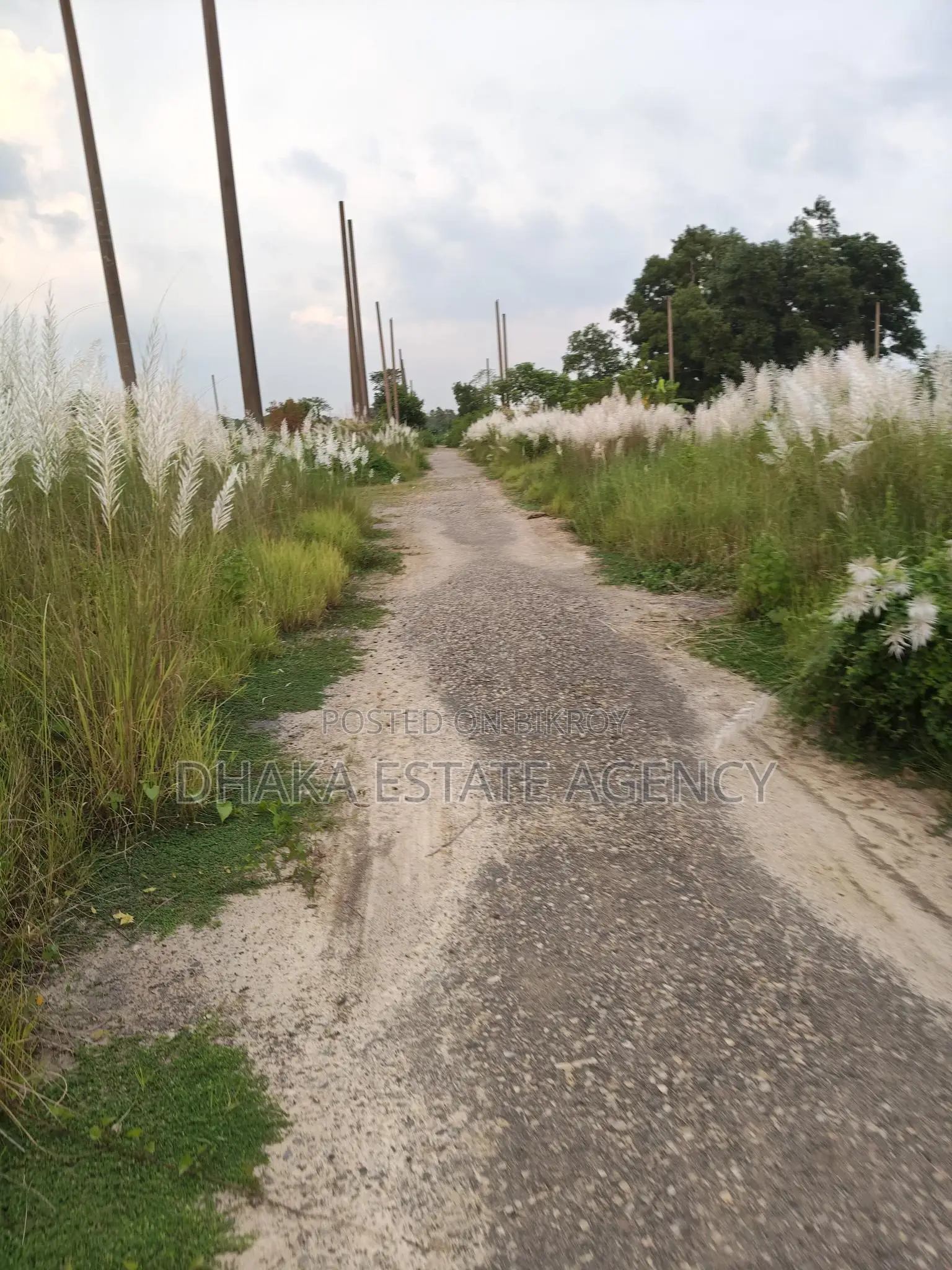 7.5 Katha Plot for Sale in Sector 18 Due to Urgent Need for Cash in Purbachal