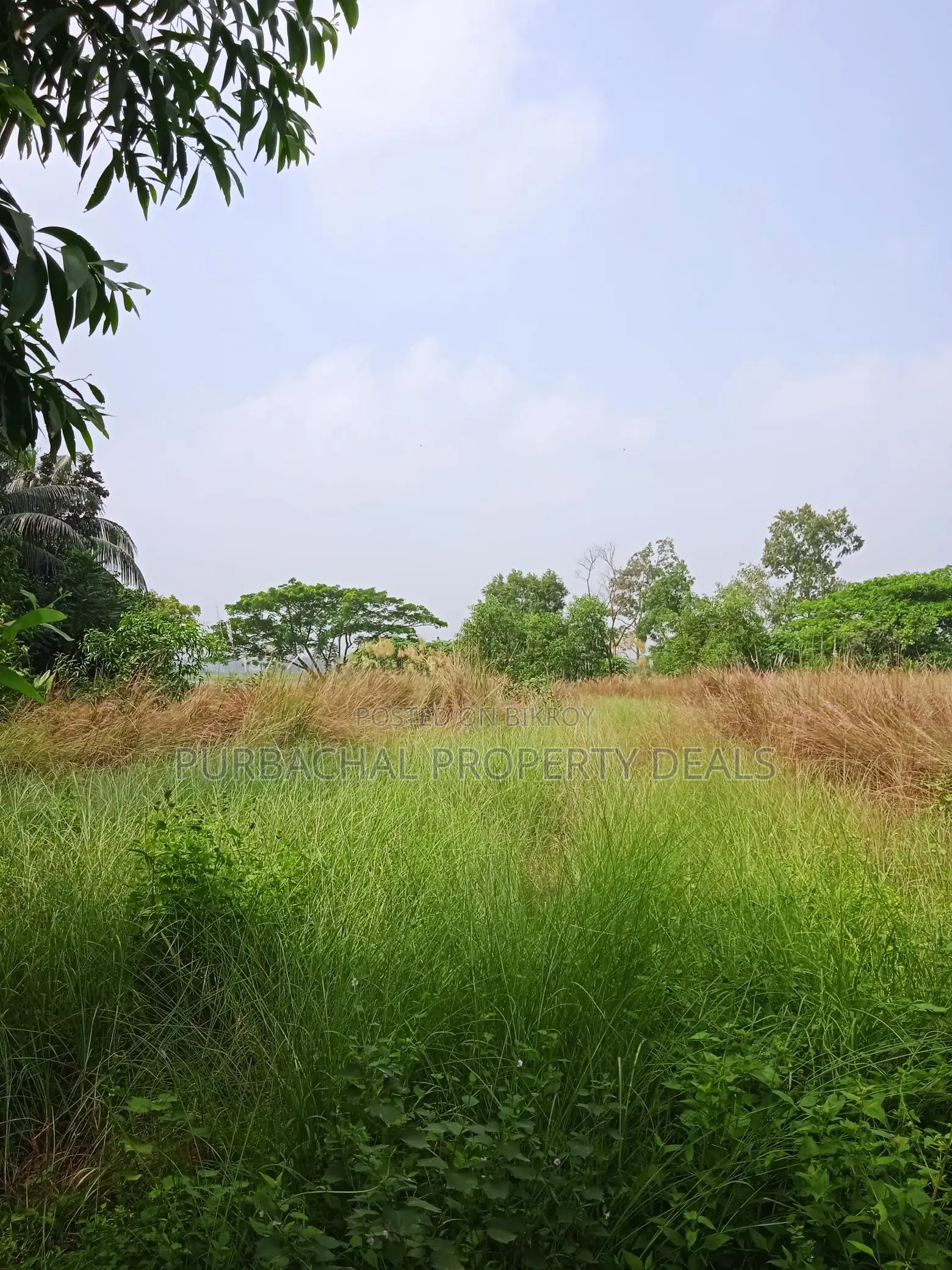 3 Bigha Square Land at Tarabo, Bhulta-Gausia – Perfect for Business and Industry in Narayanganj