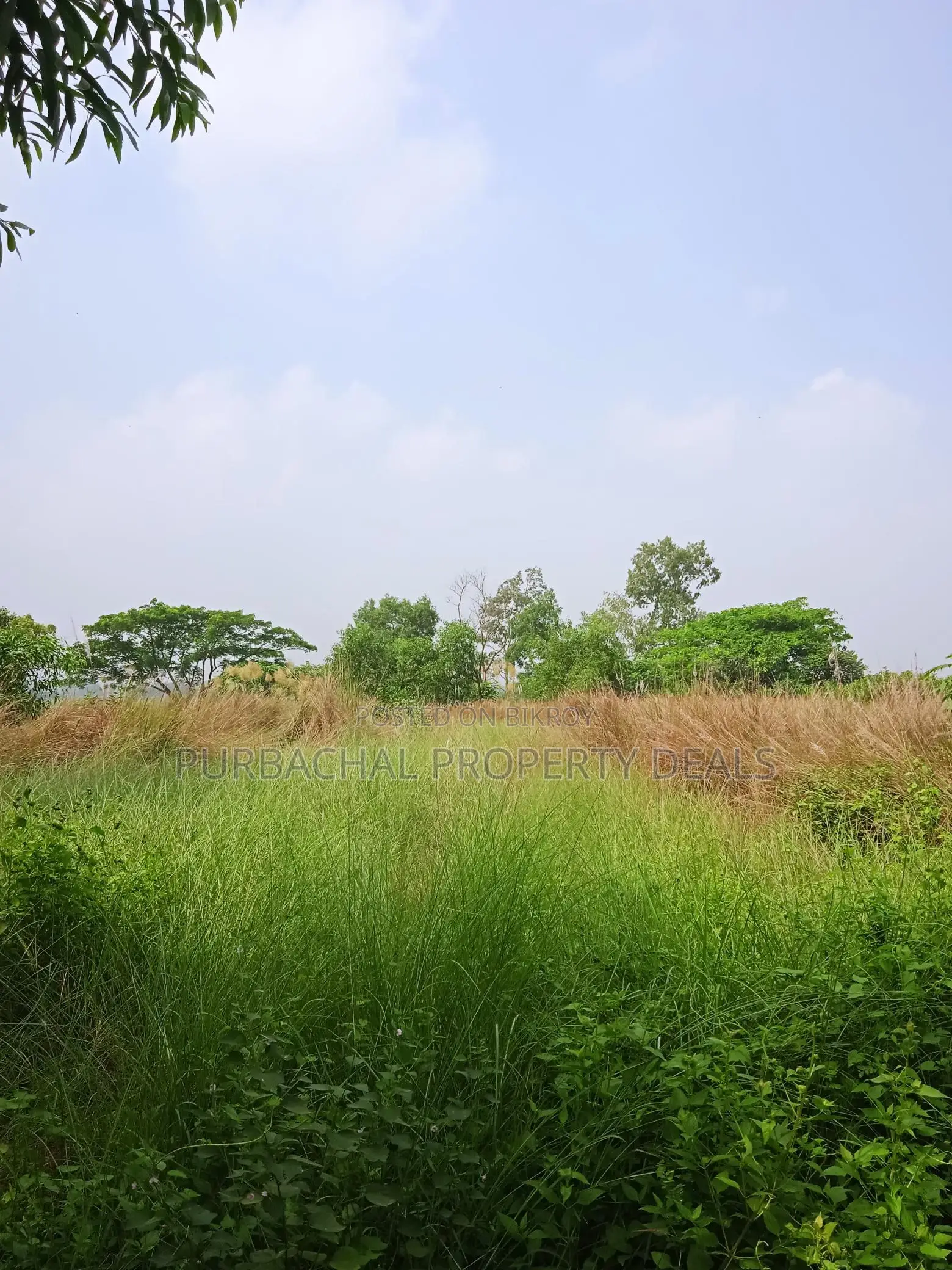 3 Bigha Square Land at Tarabo, Bhulta-Gausia – Perfect for Business and Industry in Narayanganj