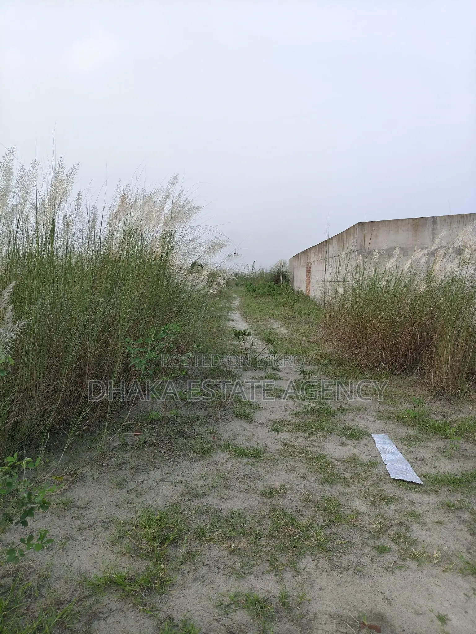 P-EXT, 4 Katha Plot Sale in Basundhara
