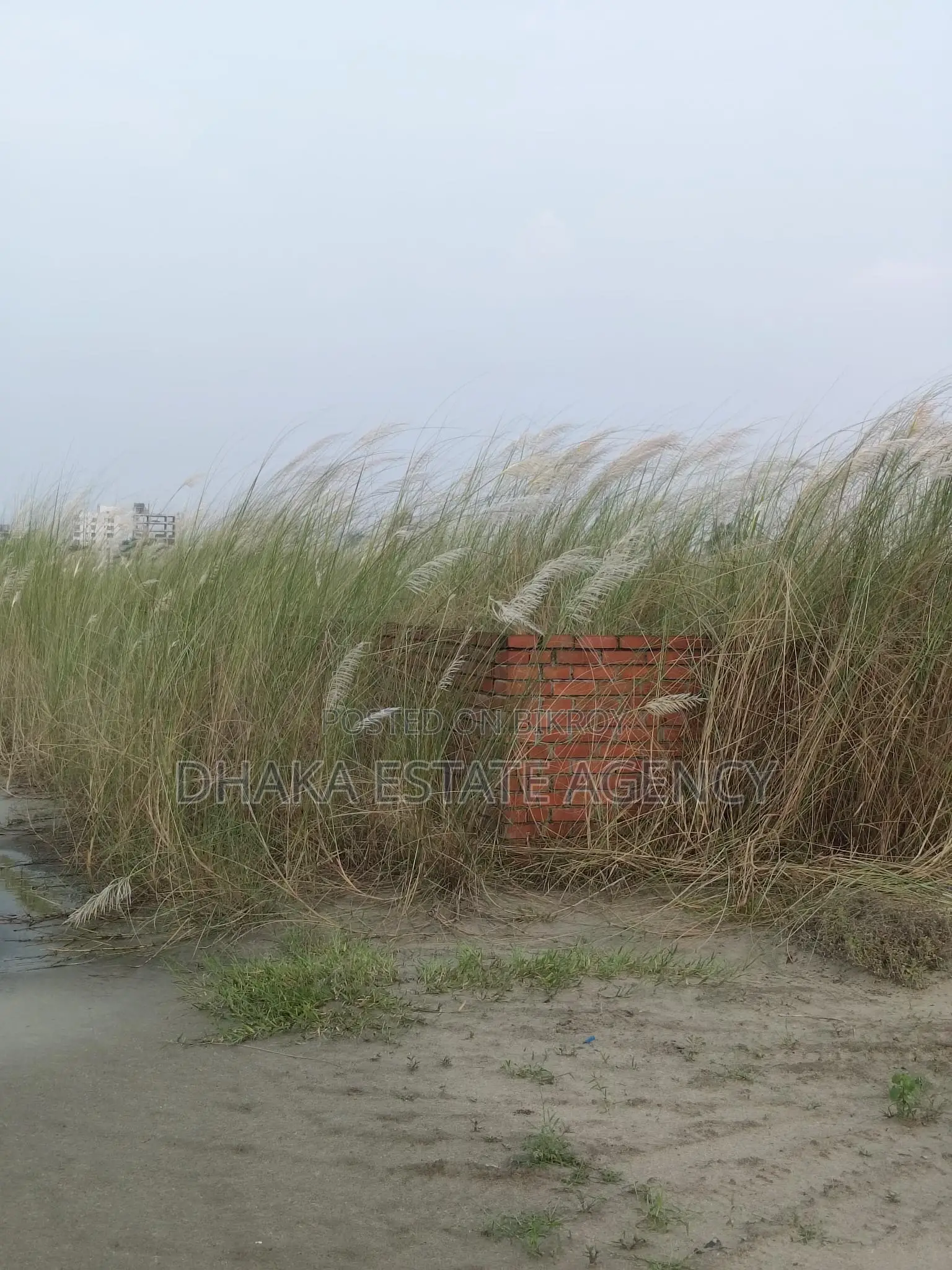 P-EXT, 4 Katha Plot Sale in Basundhara