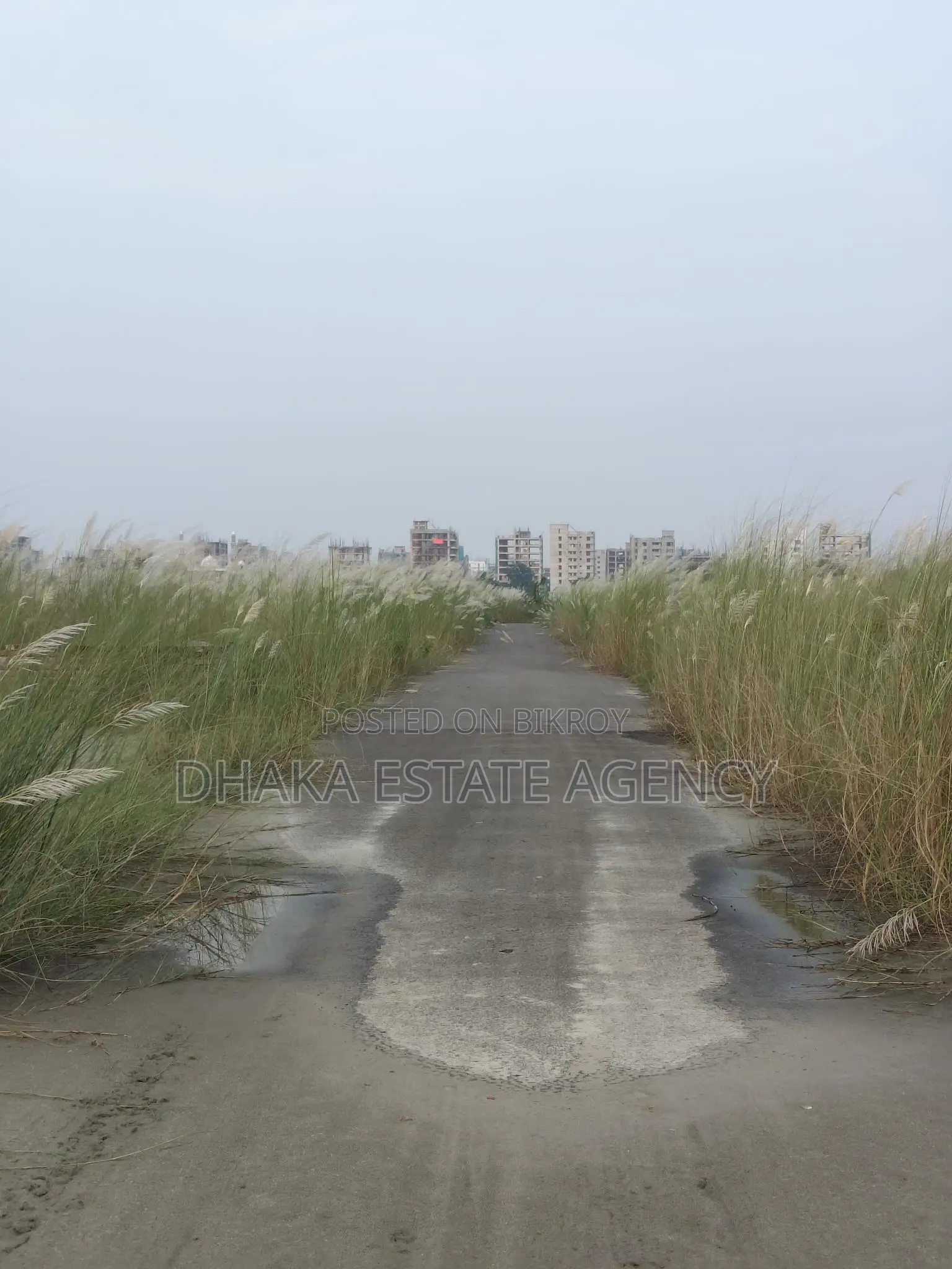 P-EXT, 4 Katha Plot Sale in Basundhara