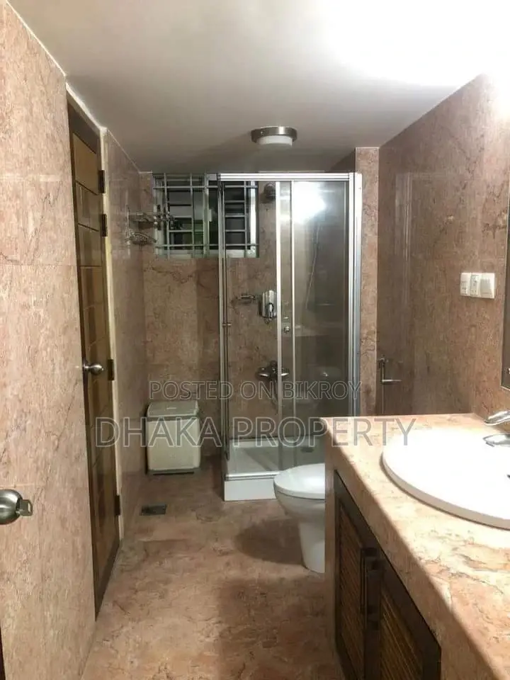 Luxurious Furnished Flat Rent in Baridhara Diplomatic Zone in Baridhara