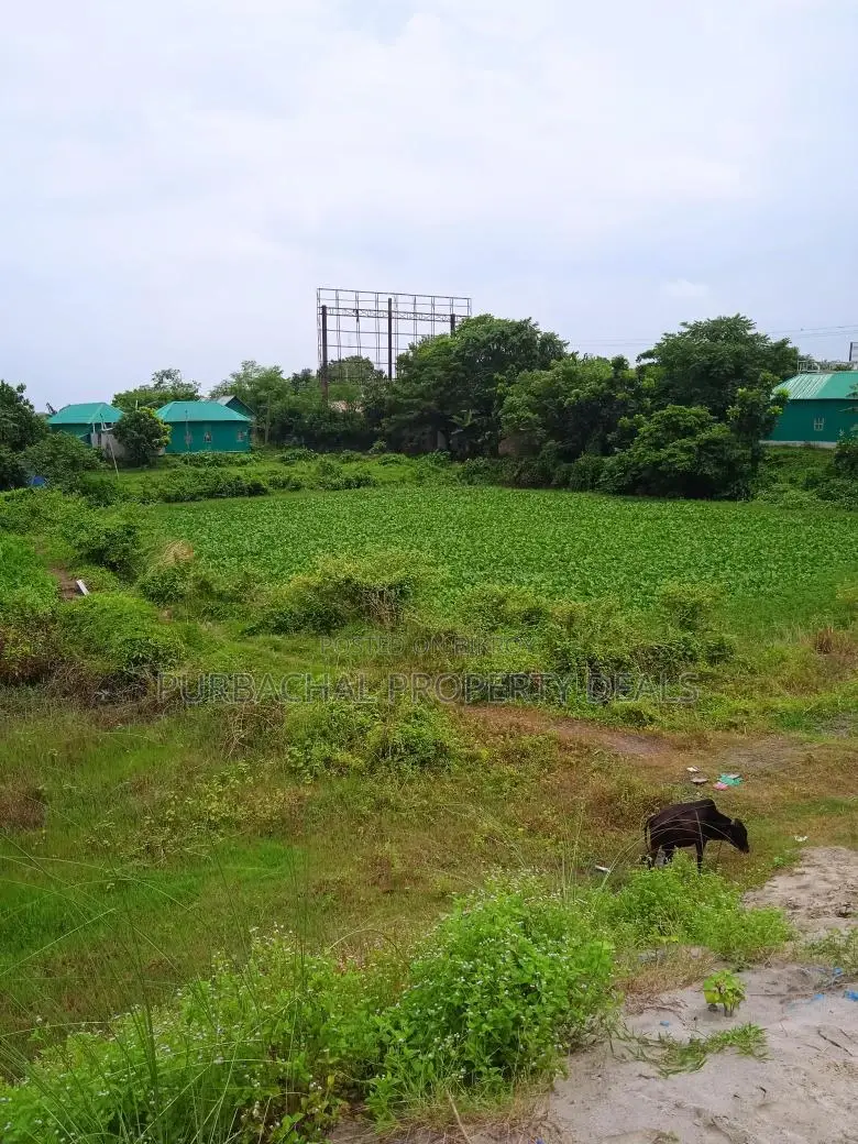 80 Bigha River-View Land by the Meghna River — Perfect Location for a Royal Project! in Narayanganj
