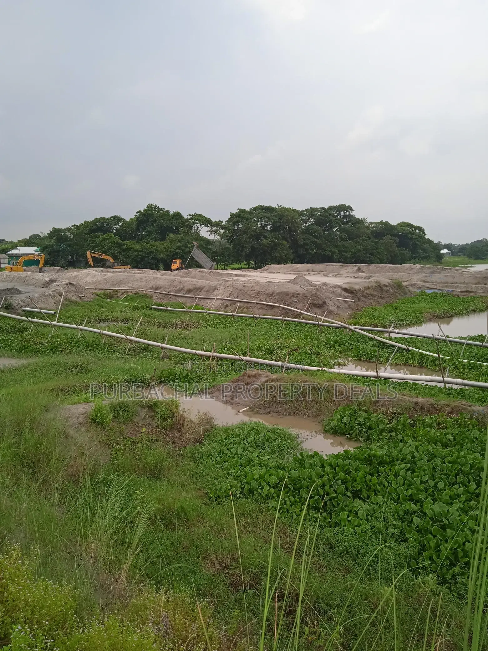 80 Bigha River-View Land by the Meghna River — Perfect Location for a Royal Project! in Narayanganj