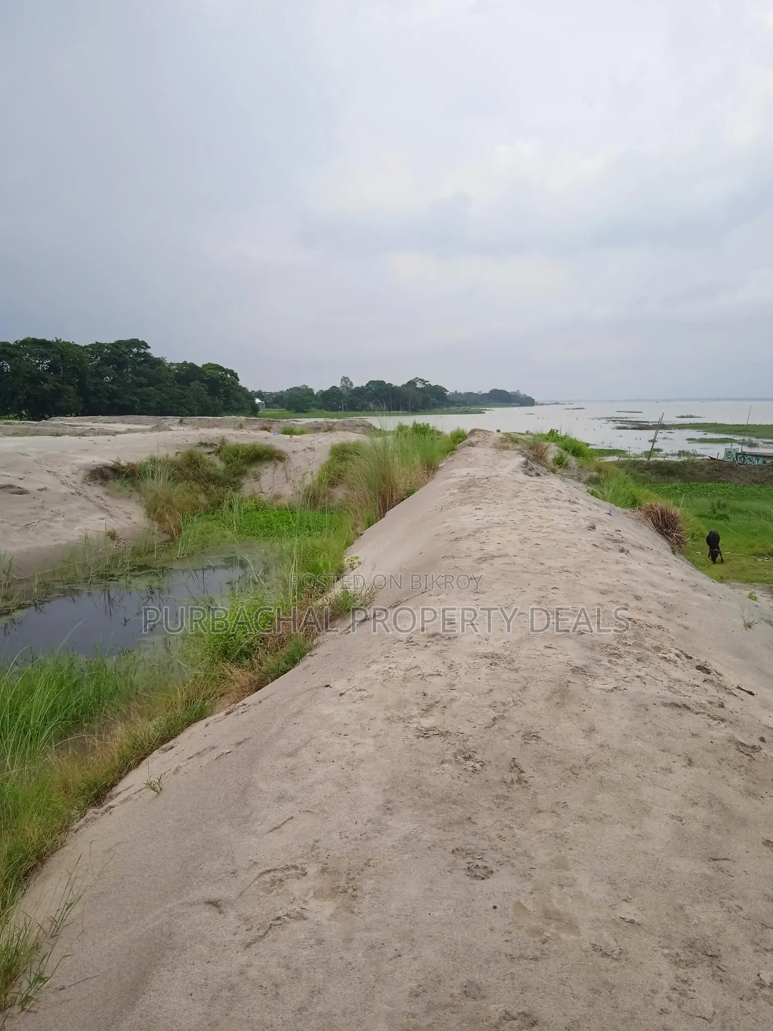 80 Bigha River-View Land by the Meghna River — Perfect Location for a Royal Project! in Narayanganj