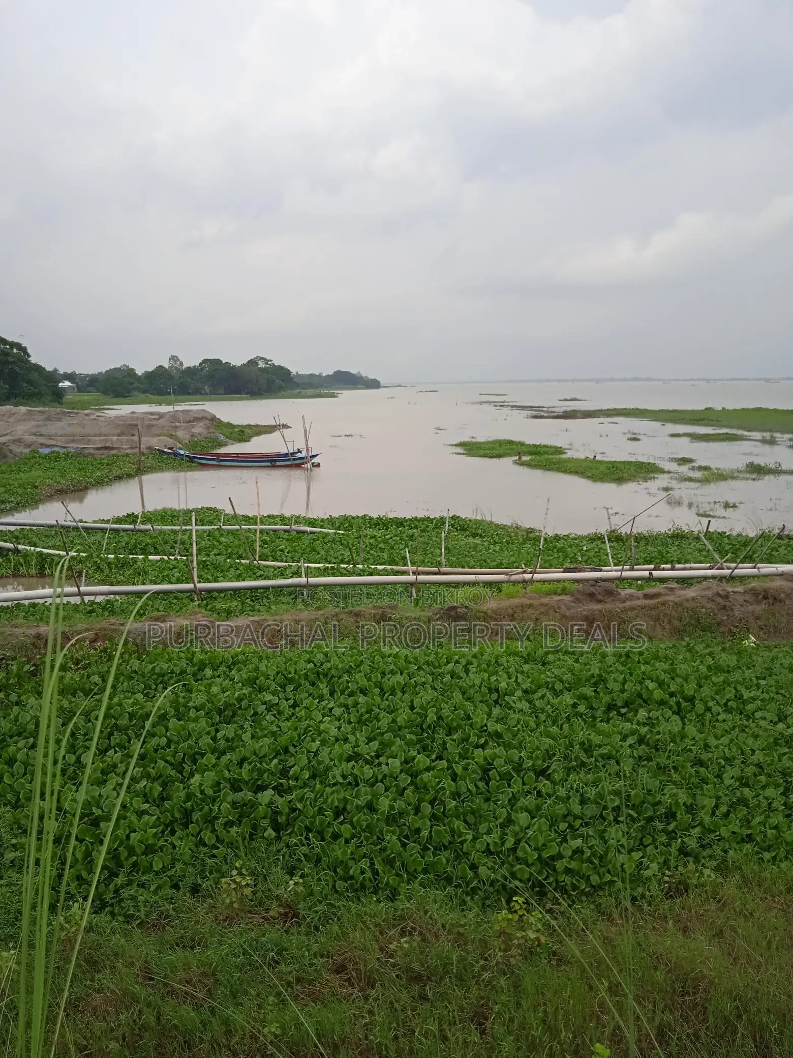 80 Bigha River-View Land by the Meghna River — Perfect Location for a Royal Project! in Narayanganj