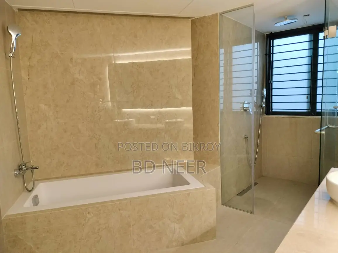 Dupleix Semi Furnished 4 Bed Room Flat Rent in Baridhara DIP in Baridhara