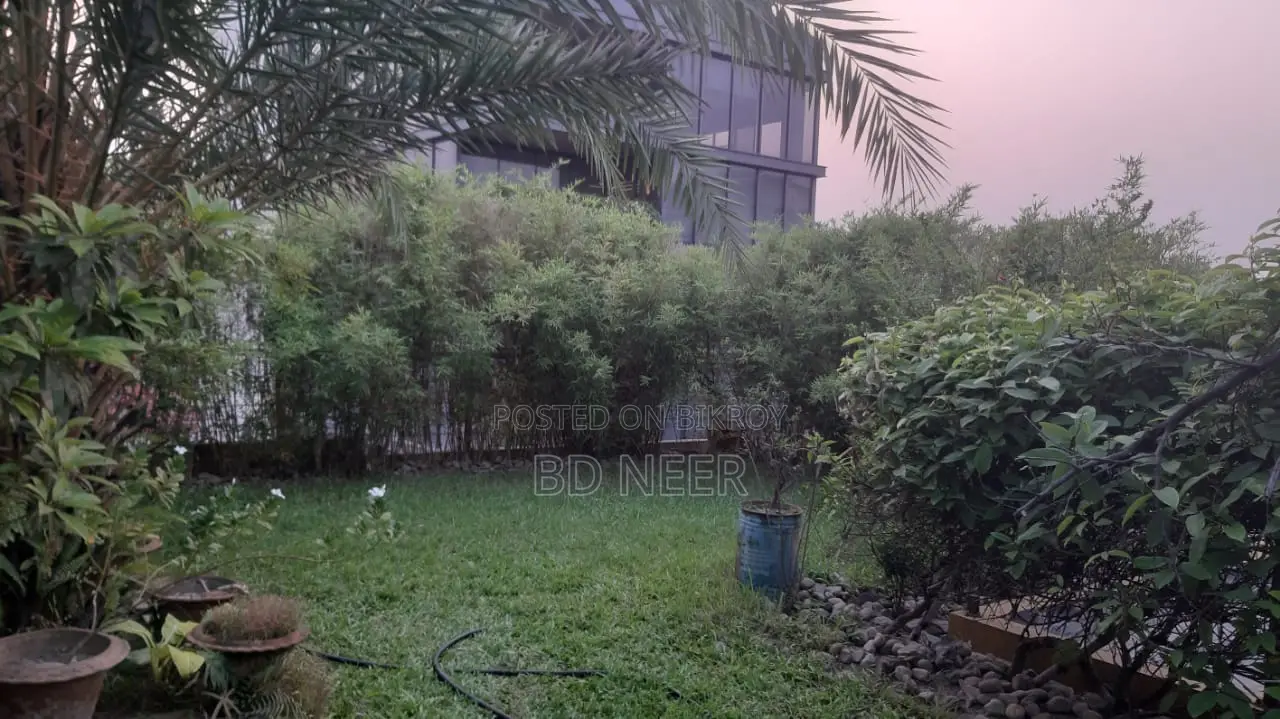 Dupleix Semi Furnished 4 Bed Room Flat Rent in Baridhara DIP in Baridhara