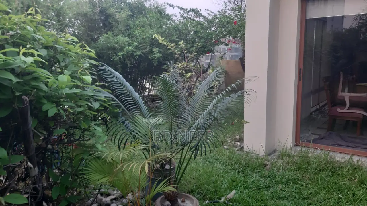 Dupleix Semi Furnished 4 Bed Room Flat Rent in Baridhara DIP in Baridhara