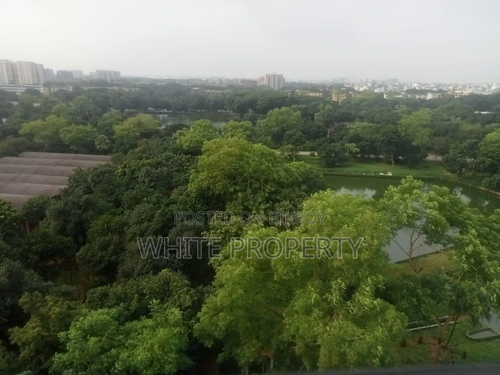 Apartment Sale in Road-67, North Gulshan in Gulshan