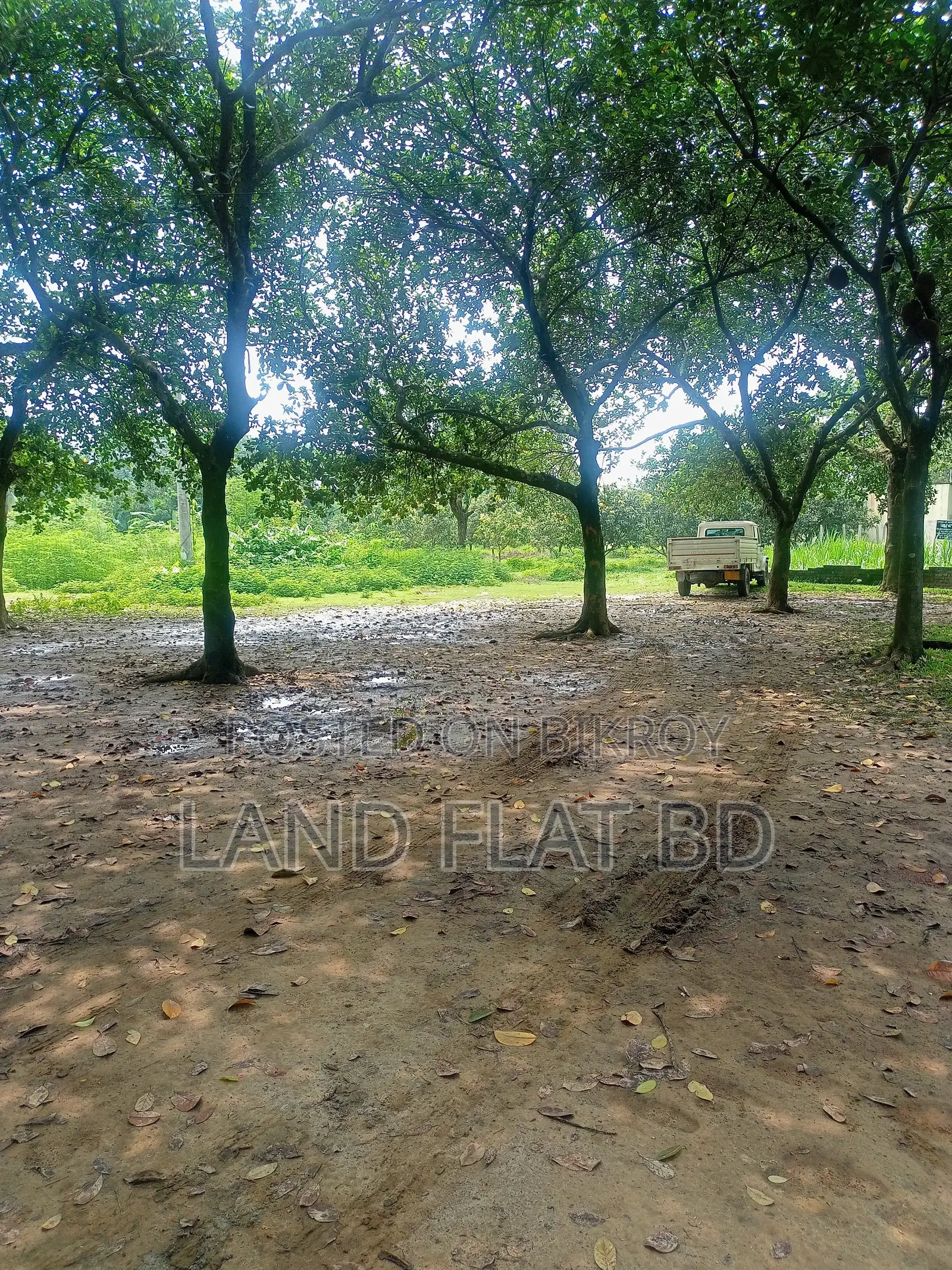 10 Katha Plot for Sale, Suitable for Living in a Quiet Environment in Savar