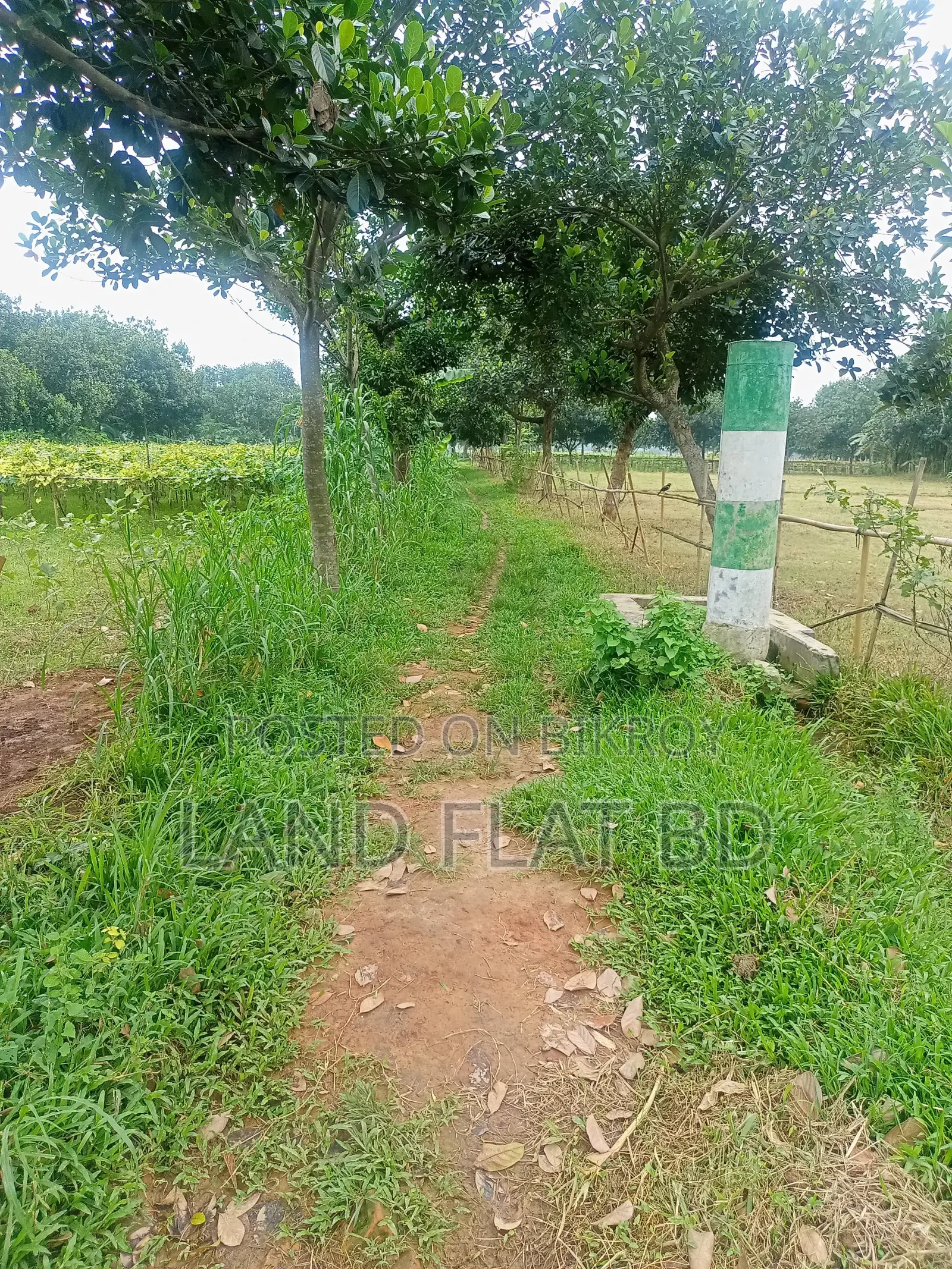 10 Katha Plot for Sale, Suitable for Living in a Quiet Environment in Savar