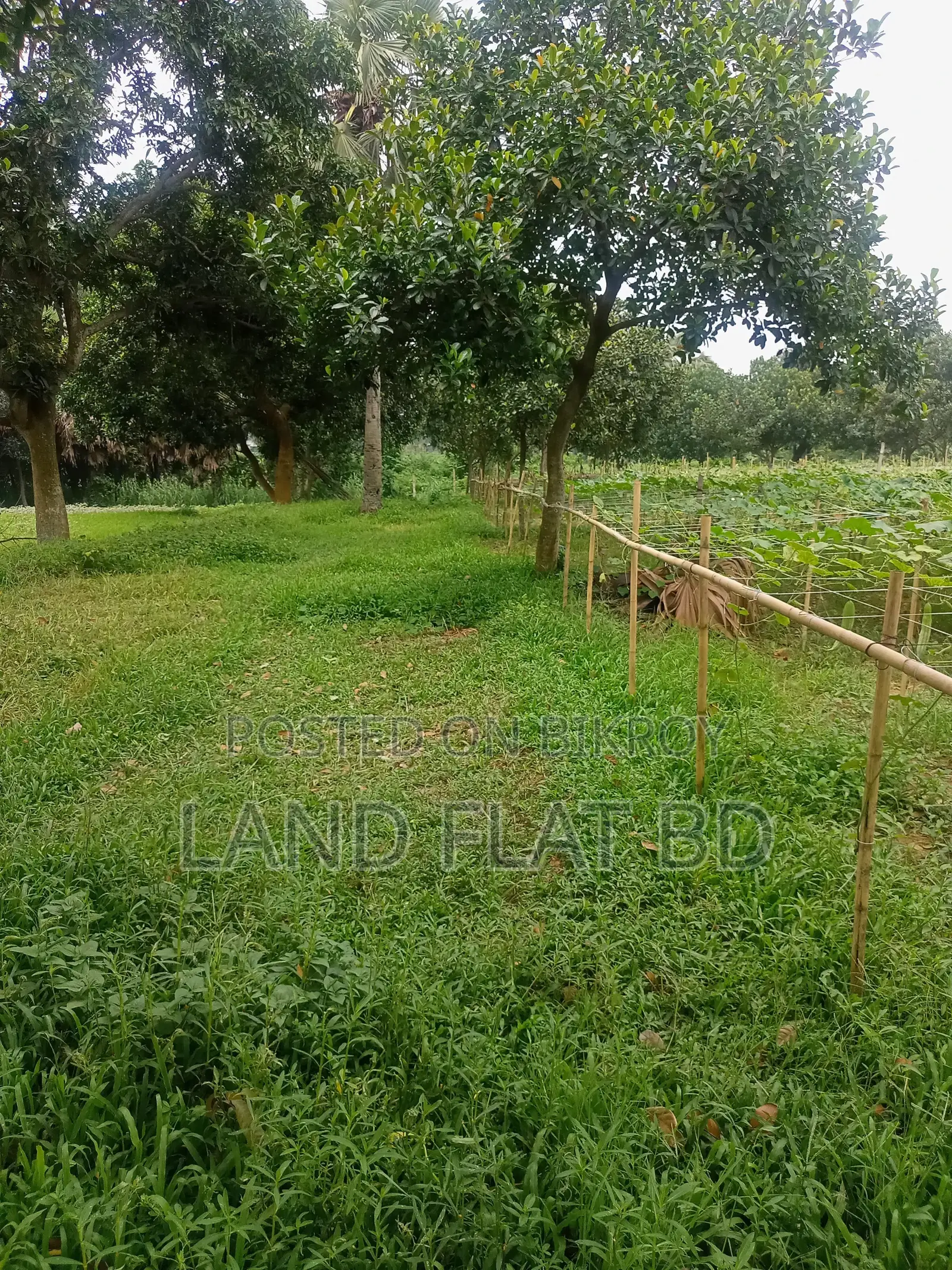 10 Katha Plot for Sale, Suitable for Living in a Quiet Environment in Savar