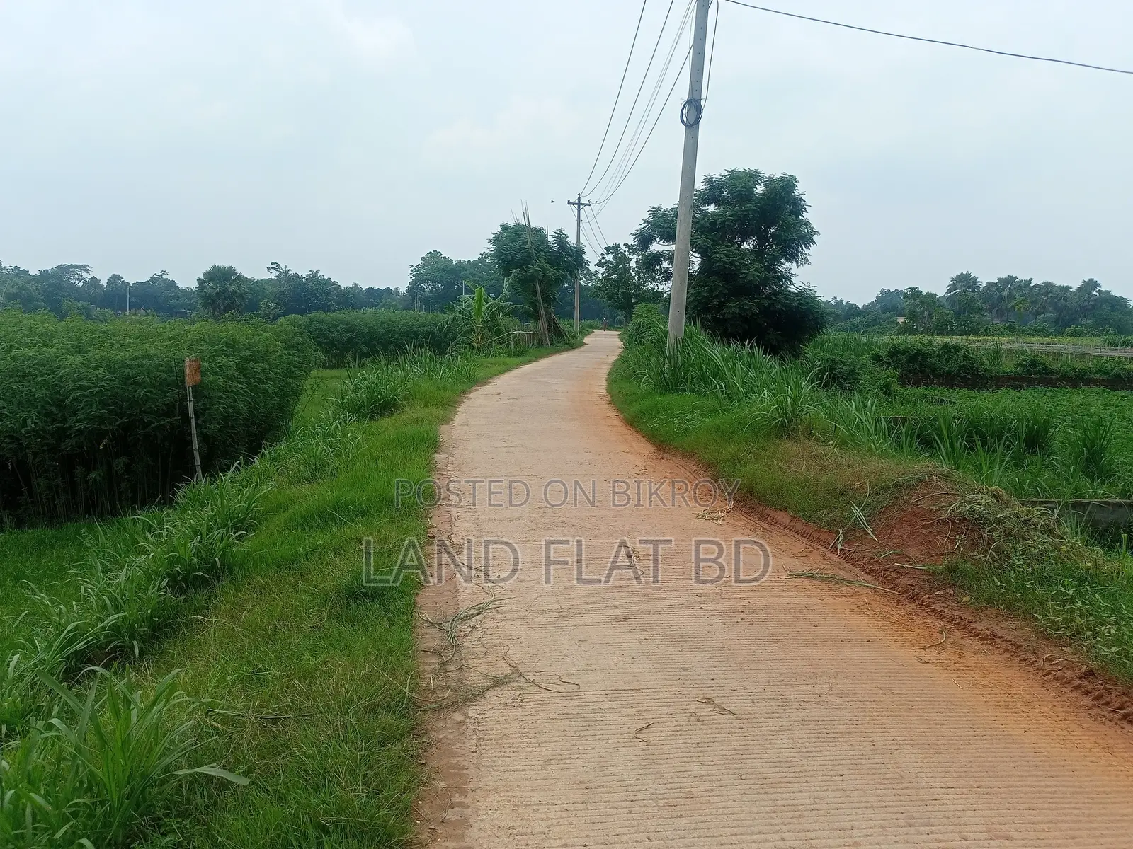 Purchase 20 Katha Land with Cash or a Five-Year Installment Plan in Savar