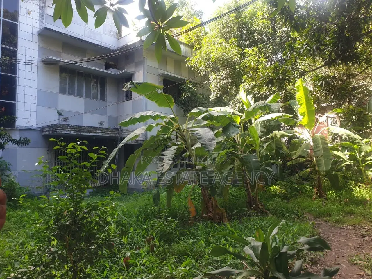 7.50 Katha Land for Sale in Banani in Banani