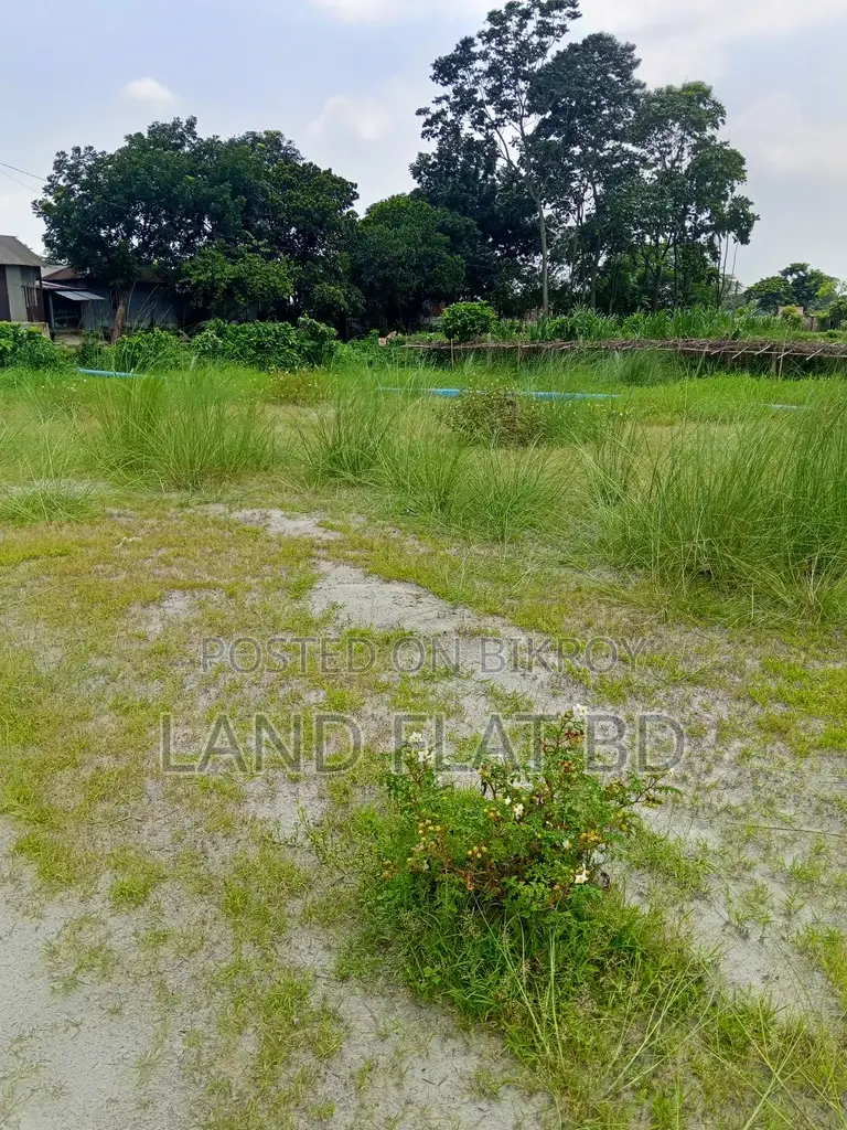 Roadside Land for Sale @ 5 Katha in Keraniganj