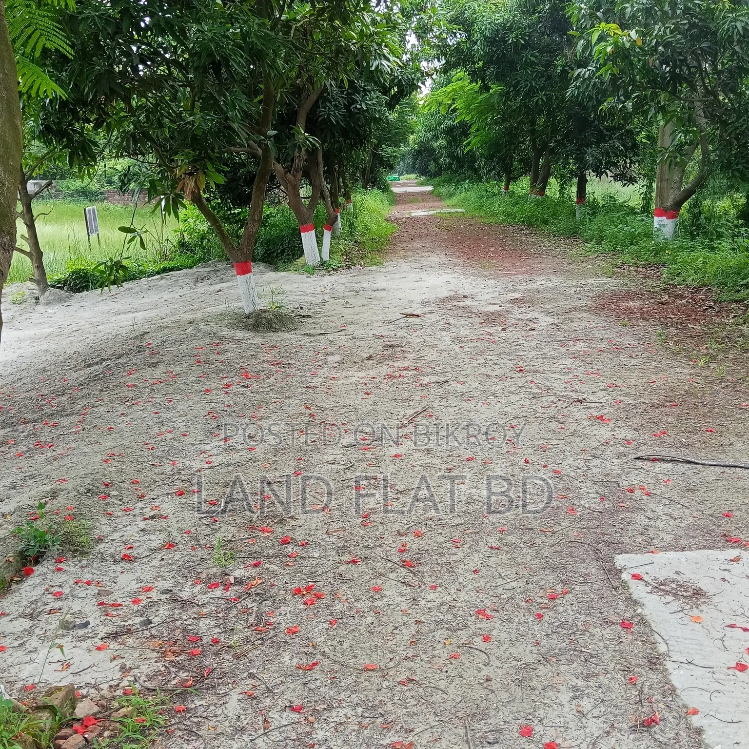100% Ready-to-Build 8.09 Katha Plot for Sale in Mohammadpur