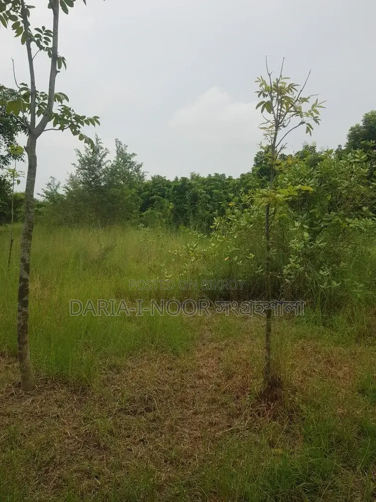 30 Bigha Land for Sale in Jazira Naodoba, Near Sheikh Russel Cantonment in Shariatpur