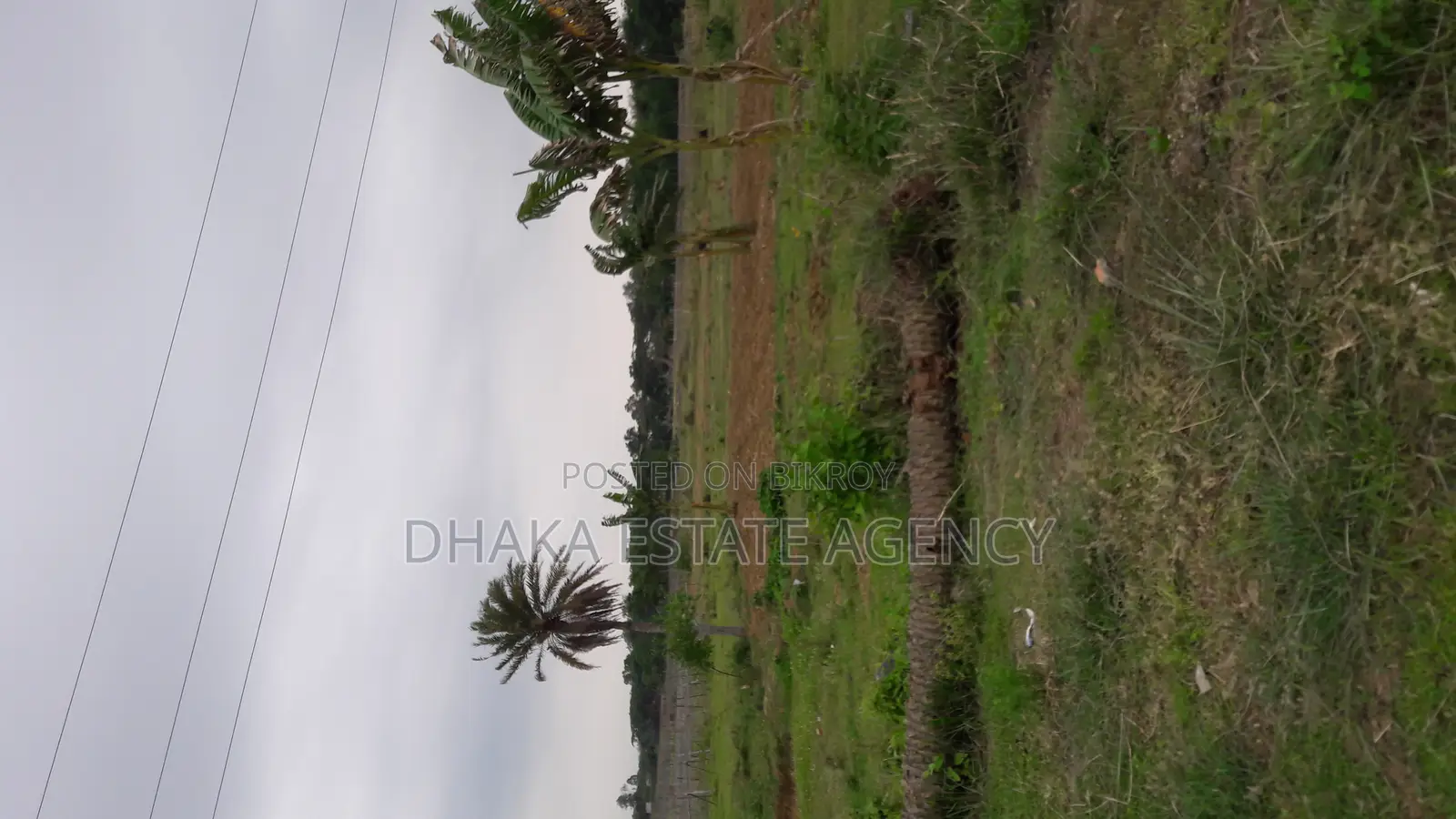 5 Katha Plot in Purbachal Sector-7 in Purbachal