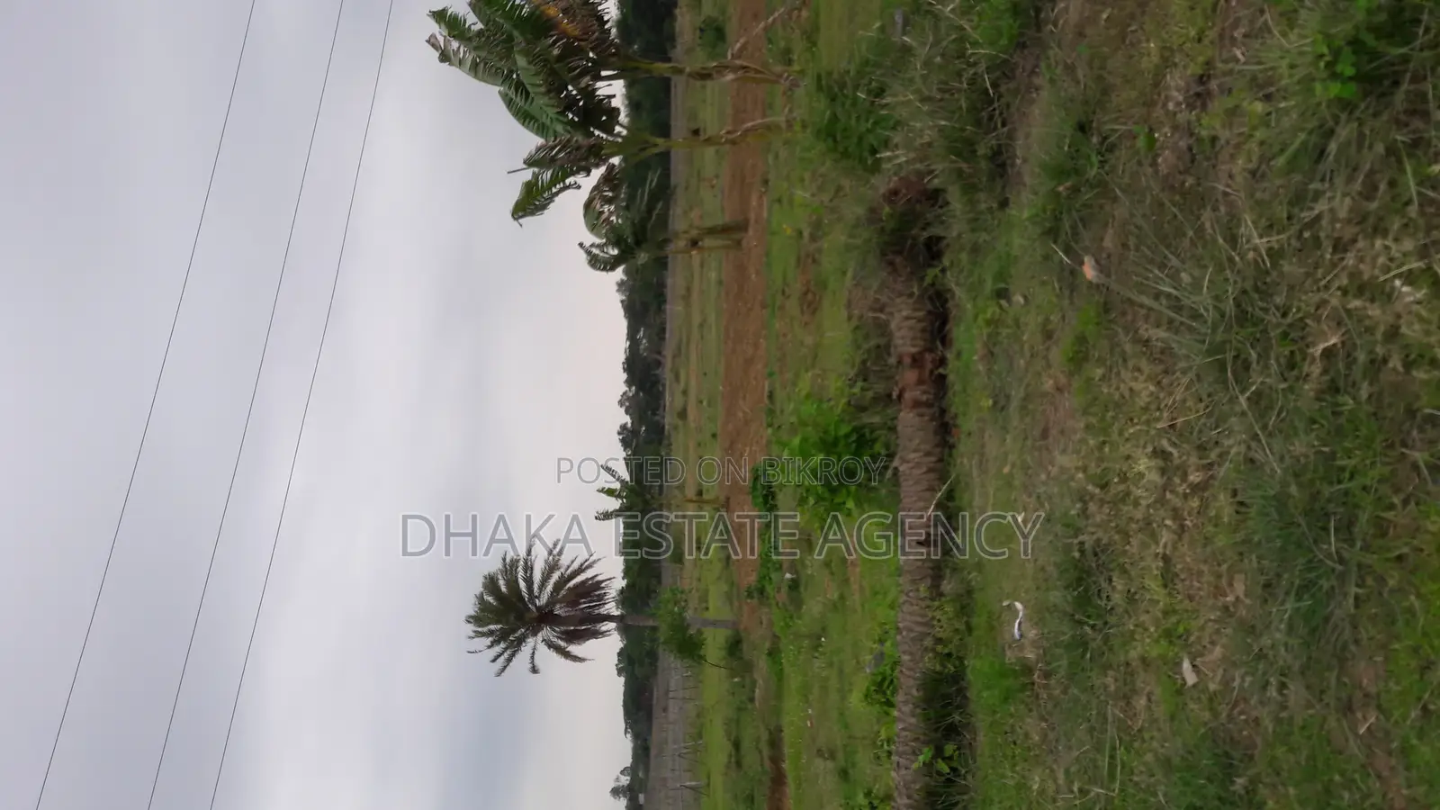 5 Katha Plot in Purbachal Sector-7 in Purbachal