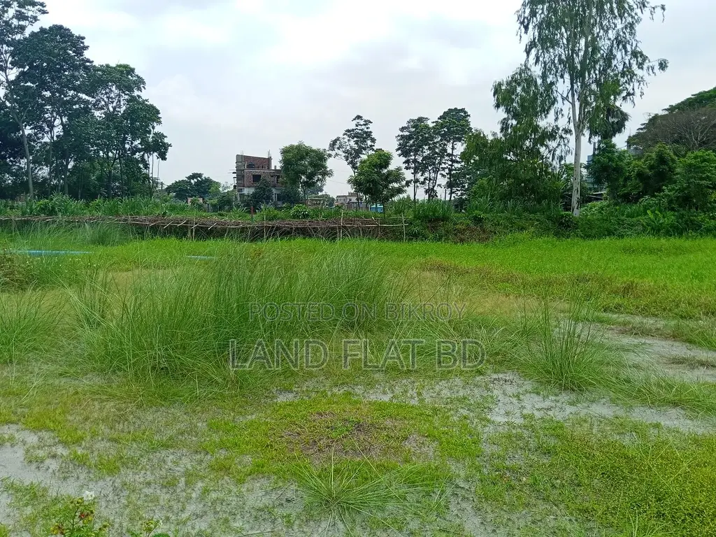 Residential Land with Road Access for Sale - 6 Katha in Keraniganj