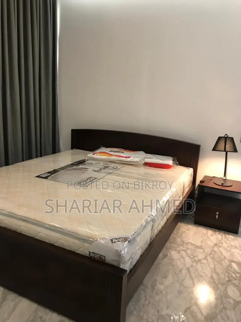 Fully Furnished Luxury Apartment for Rent in GULSHAN in Gulshan