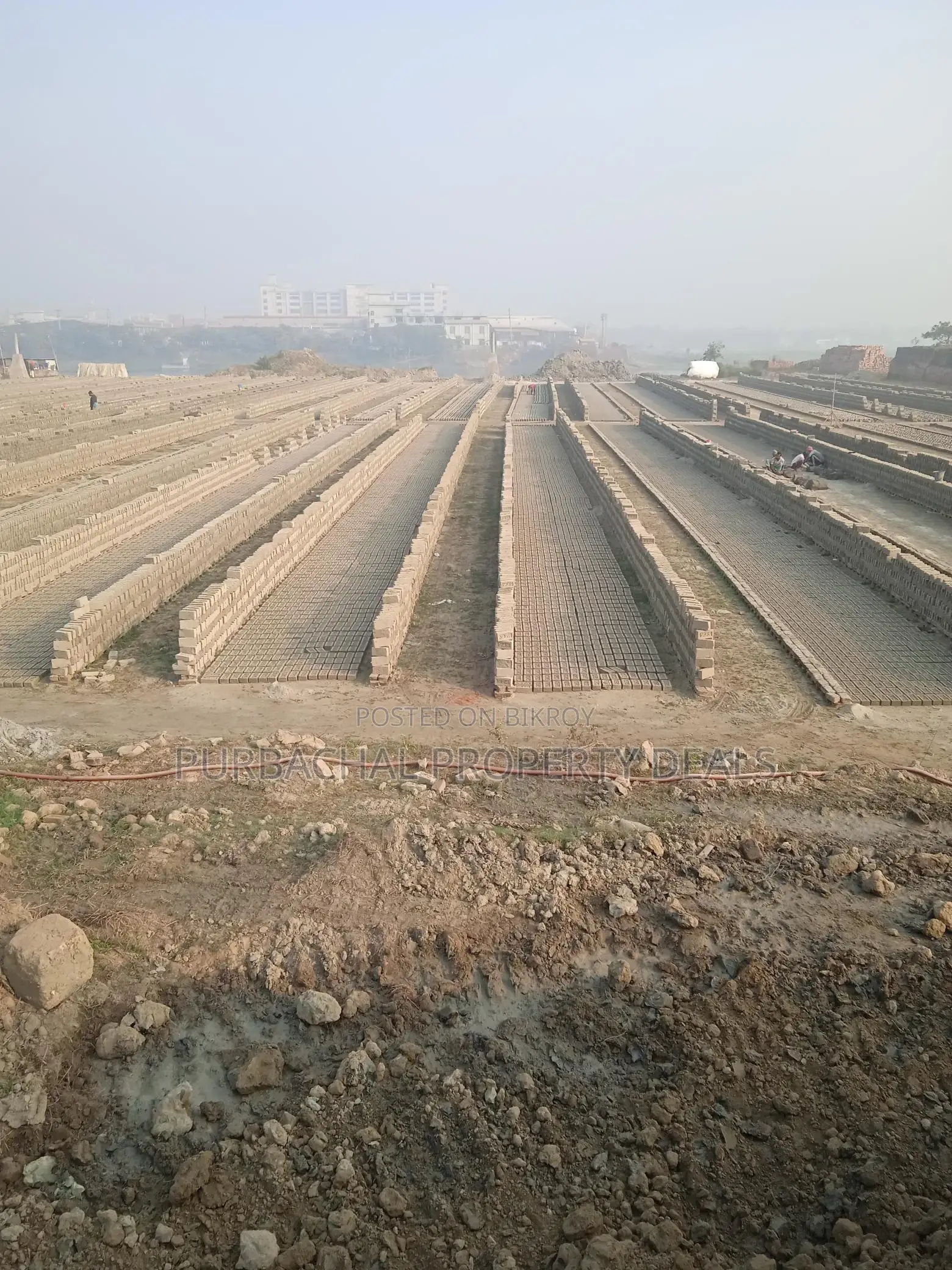 🏞️ 12 Bigha Premium Commercial Land with Shitalakshya River View for Sale in Narayanganj