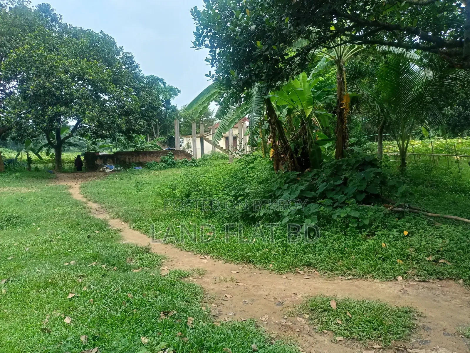 Purchase 12 Katha of Land with Cash or a Five-Year Installment Plan in Savar