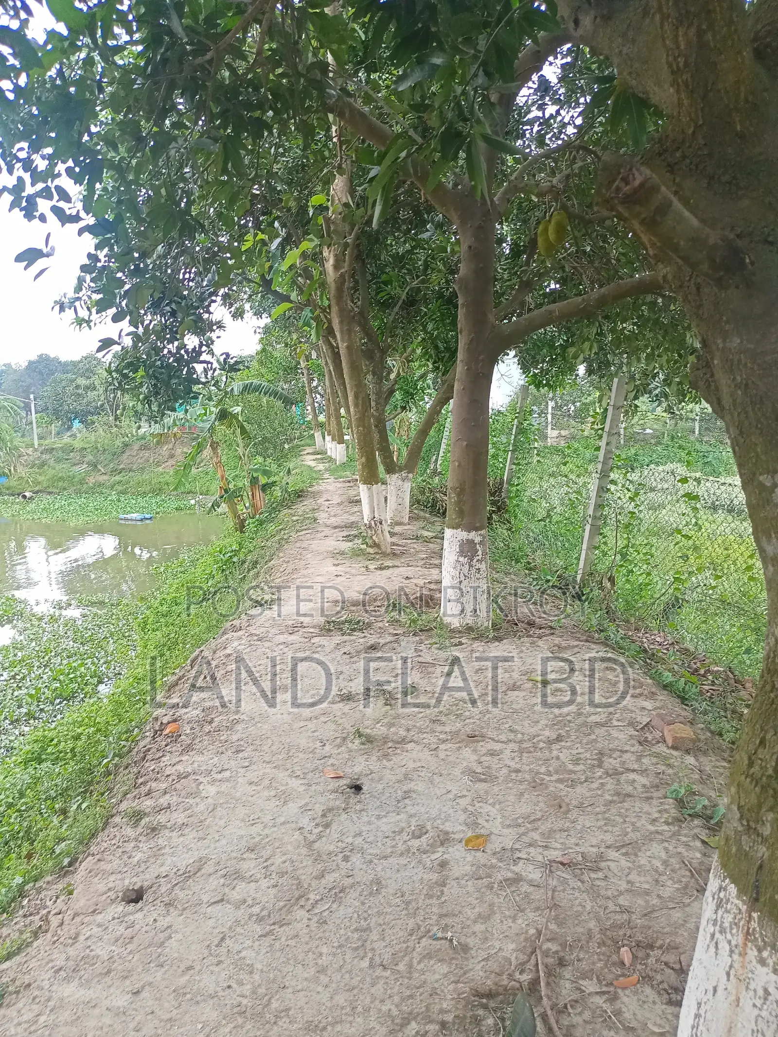 Affordable, clean plots in B Block - 3/5/10 katha land for sale in Keraniganj