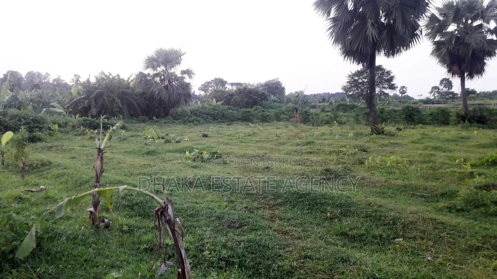 3 Katha Land Sale, Sector @ Purbachal in Purbachal