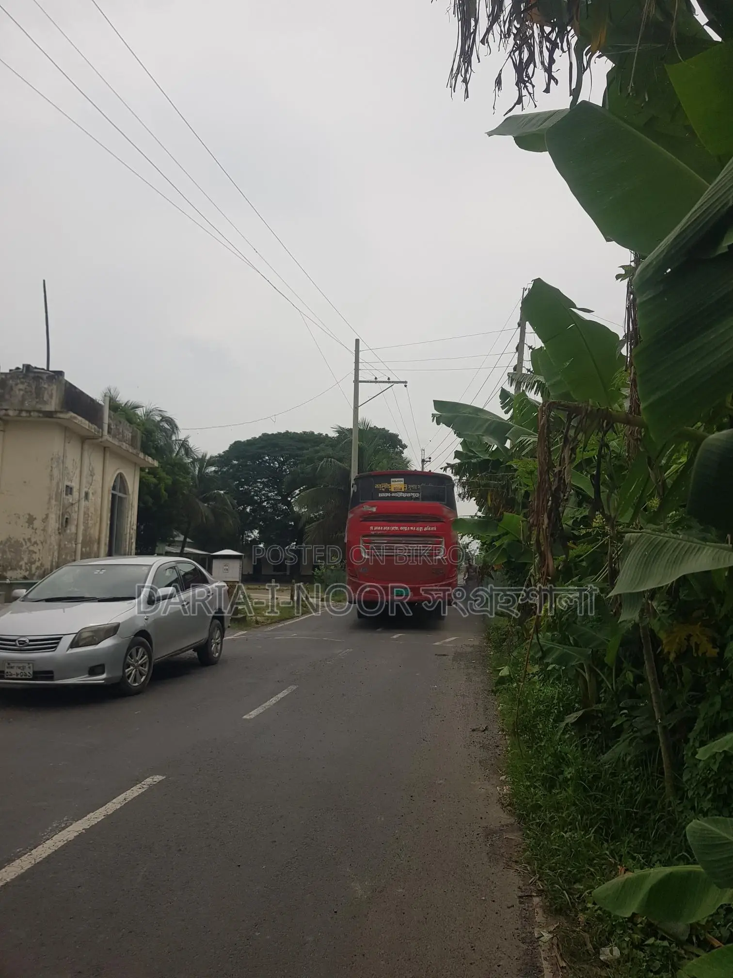 83 Bigha Land for Sale at Naodoba Gani More, Jajira Shariatpur Main Road in Shariatpur