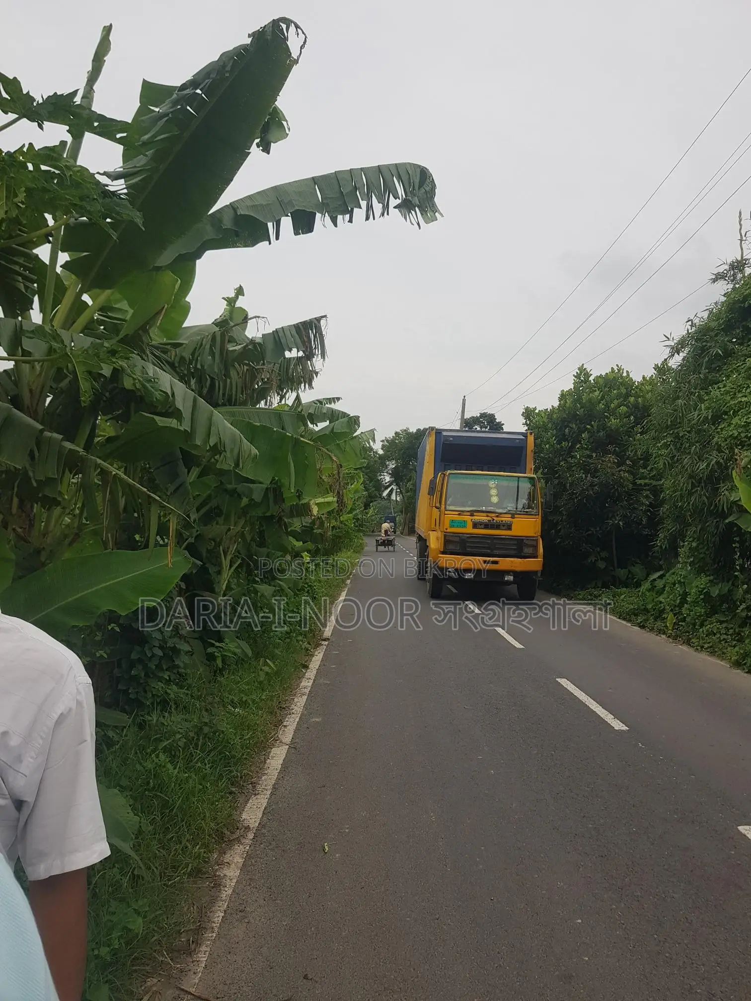 83 Bigha Land for Sale at Naodoba Gani More, Jajira Shariatpur Main Road in Shariatpur