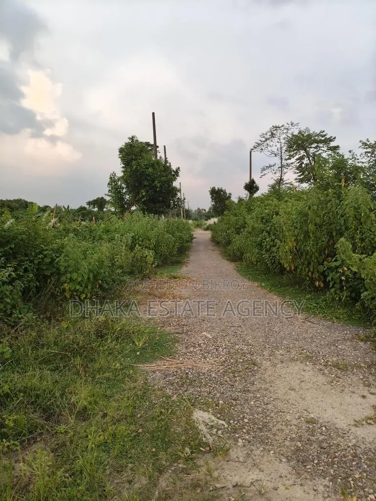 Sector 22, Road 217/B, South-Facing 5 Katha Plot in Purbachal