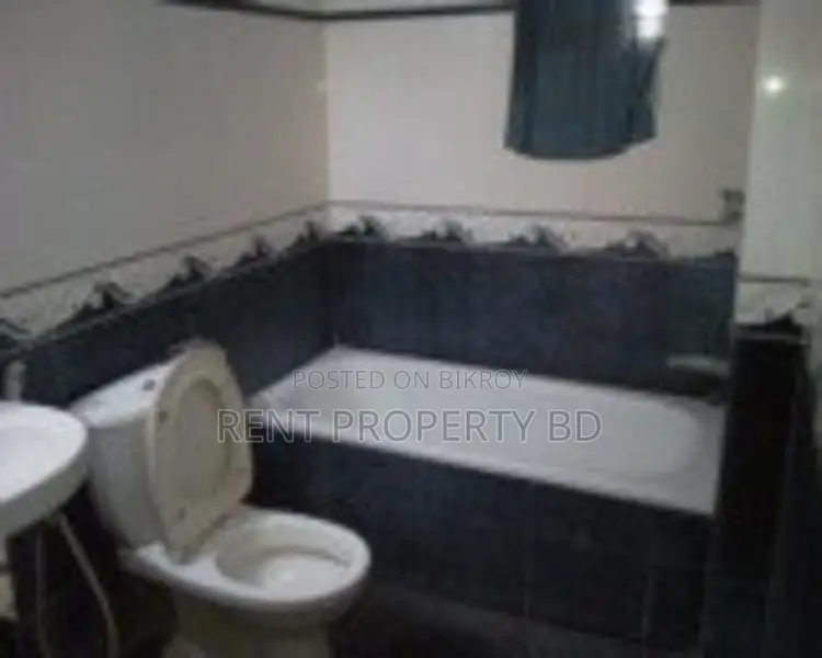Bashundhara Nice Fully Furnished Apartment in Basundhara