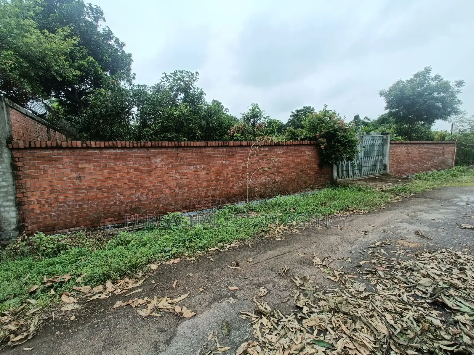 On 100ft, South Facing, 3 Katha Plot In Sec#25 in Purbachal