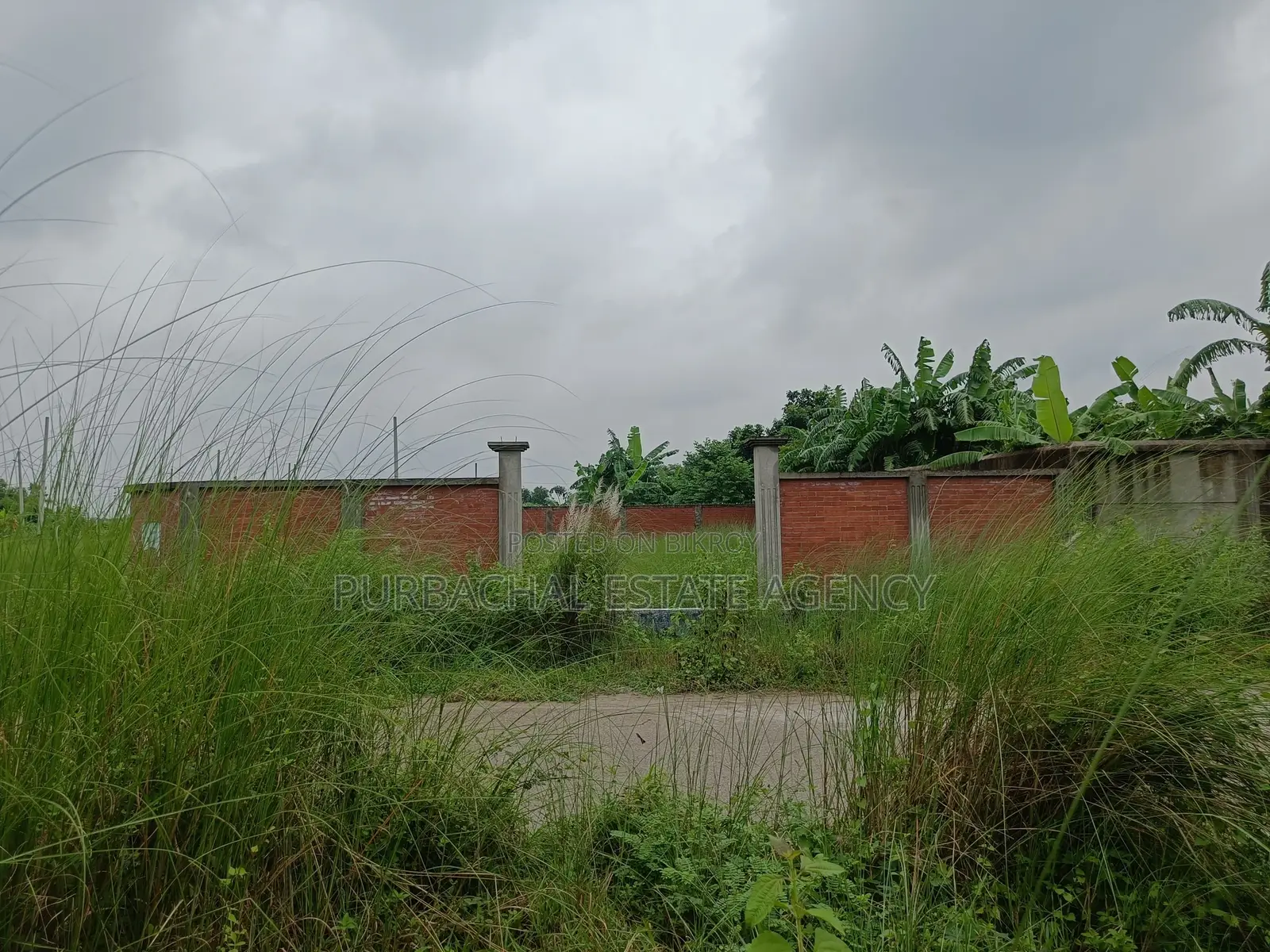 On 75ft, South Facing, 3 Katha Plot In Sec#17 in Purbachal