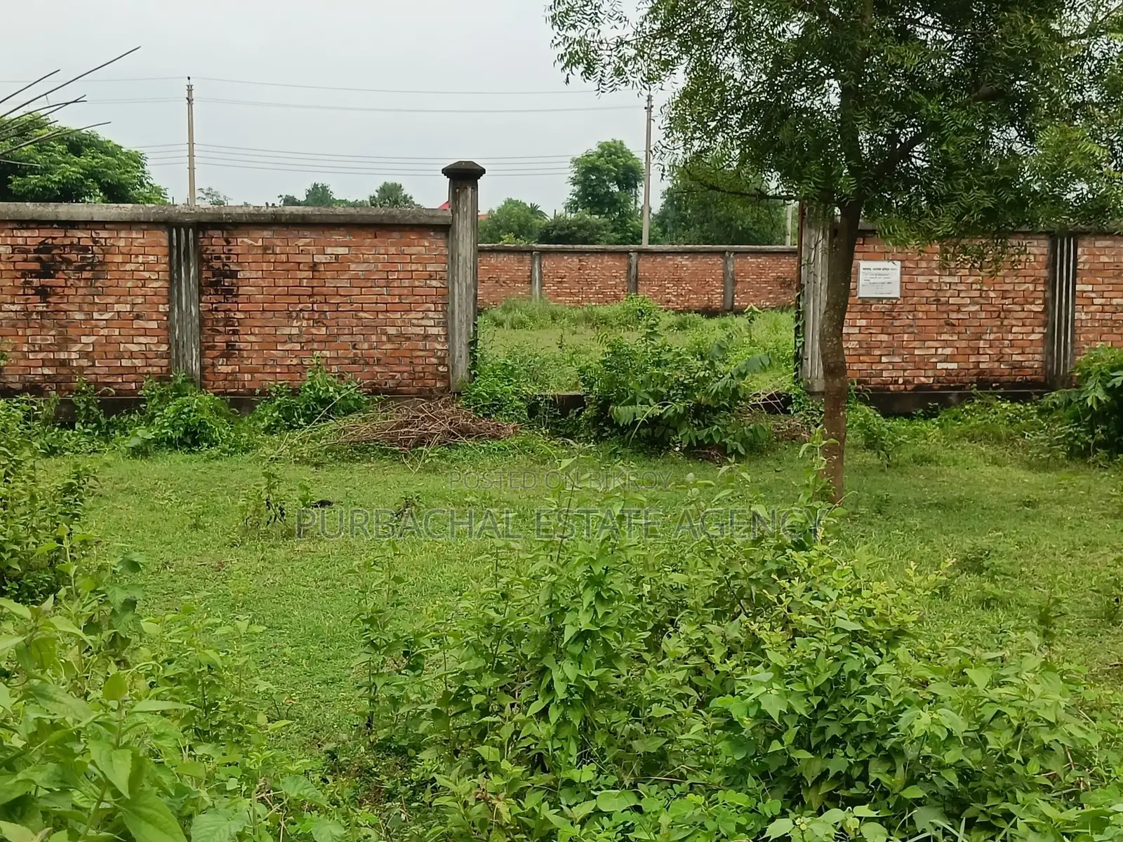 Near 100ft, 3 Katha Plot In Sec#9 in Purbachal