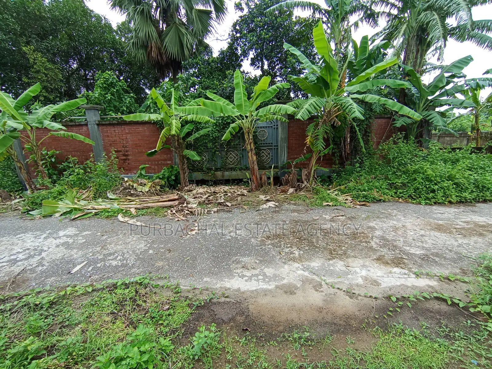 South Facing, 5 Katha Plot In Sec#30 in Purbachal
