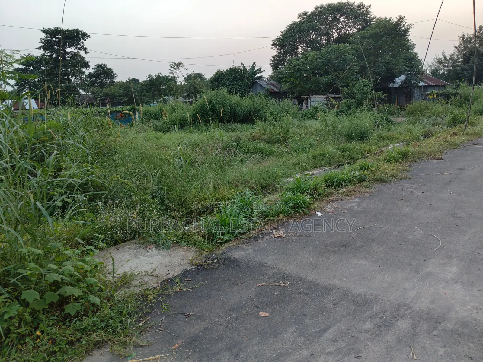 Near 300ft, Front Road 54ft, 6.25 Katha Plot In Sec#5 in Purbachal
