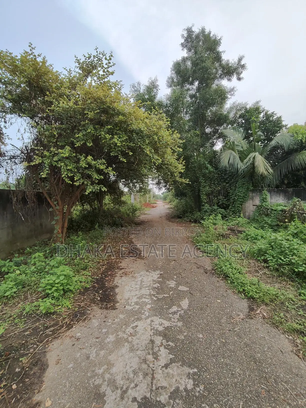 Sector=16, Eco Park Facing 5 Katha Plot Sale in Purbachal