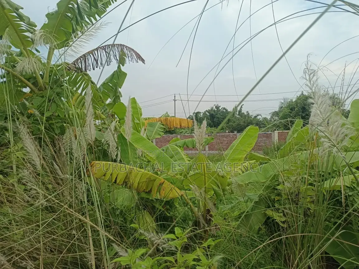 Prime South-Facing 3 Katha Plot in Sector 9 in Purbachal
