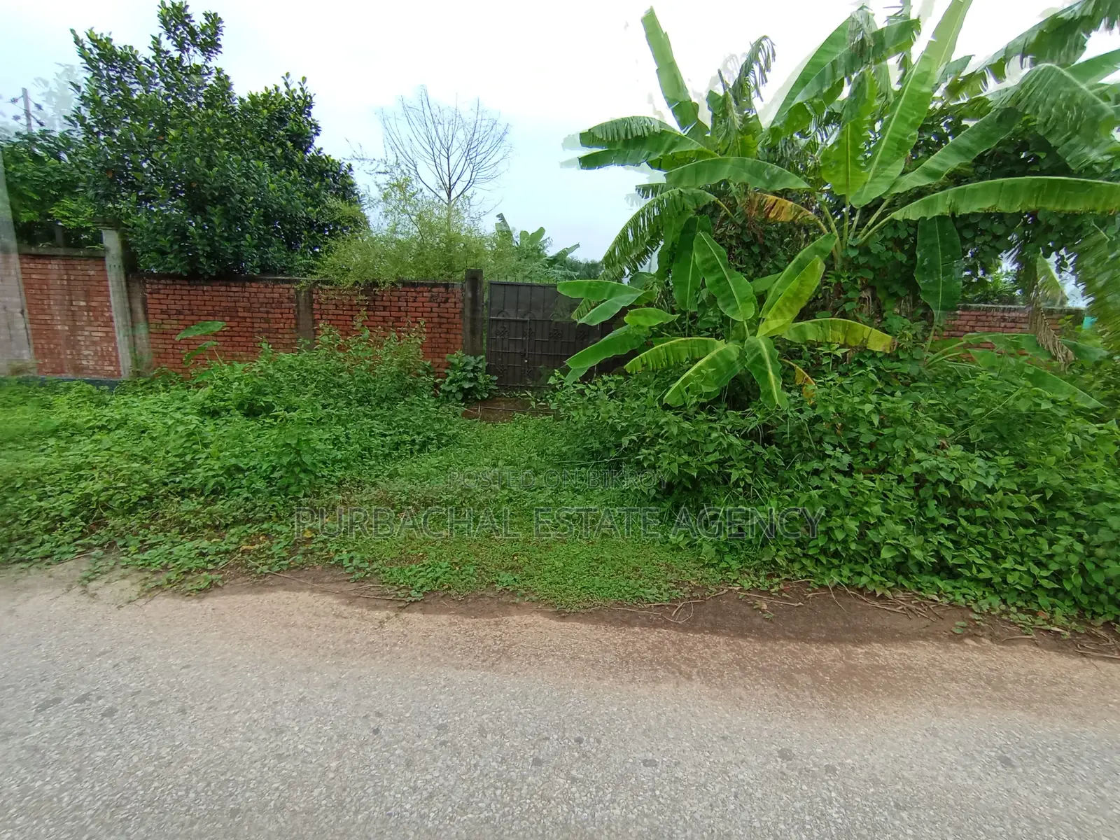 South Facing, Semi Corner, 5 Katha Plot In Sec#8 in Purbachal