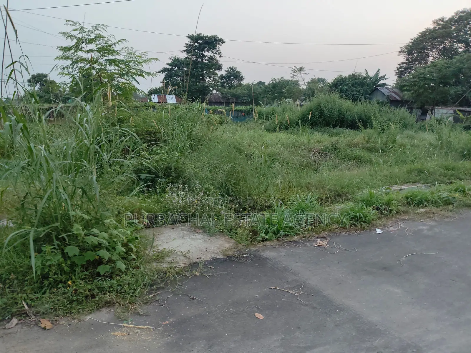 On 75ft, South Facing, 3 Katha Plot In Sec#26 in Purbachal
