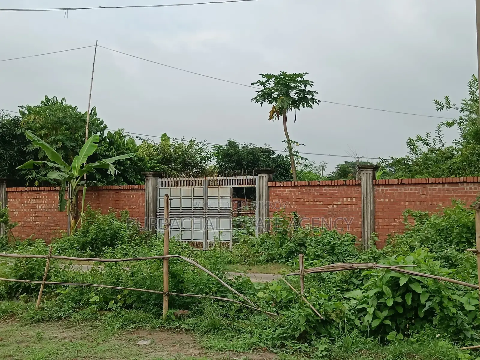 Near 75ft, South Facing, 3 Katha In Sec#9 in Purbachal
