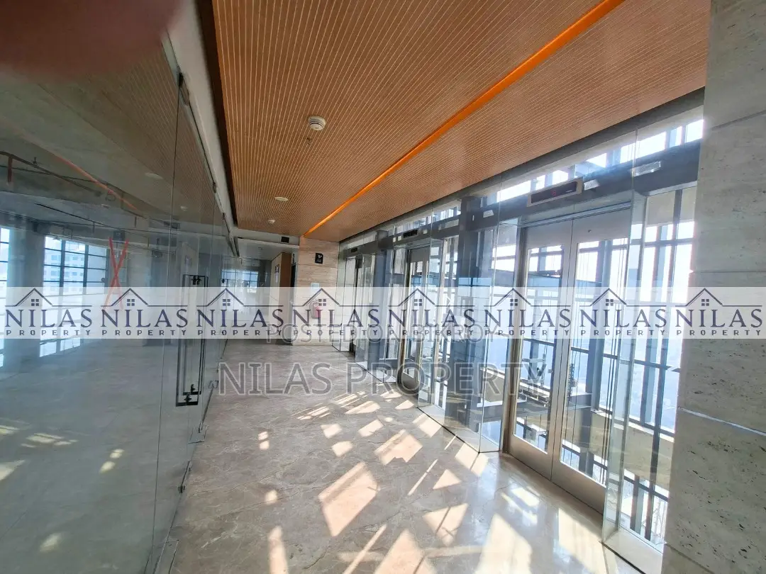 Commercial Space with Terrace Ready for Rent in Dhanmondi in Dhanmondi